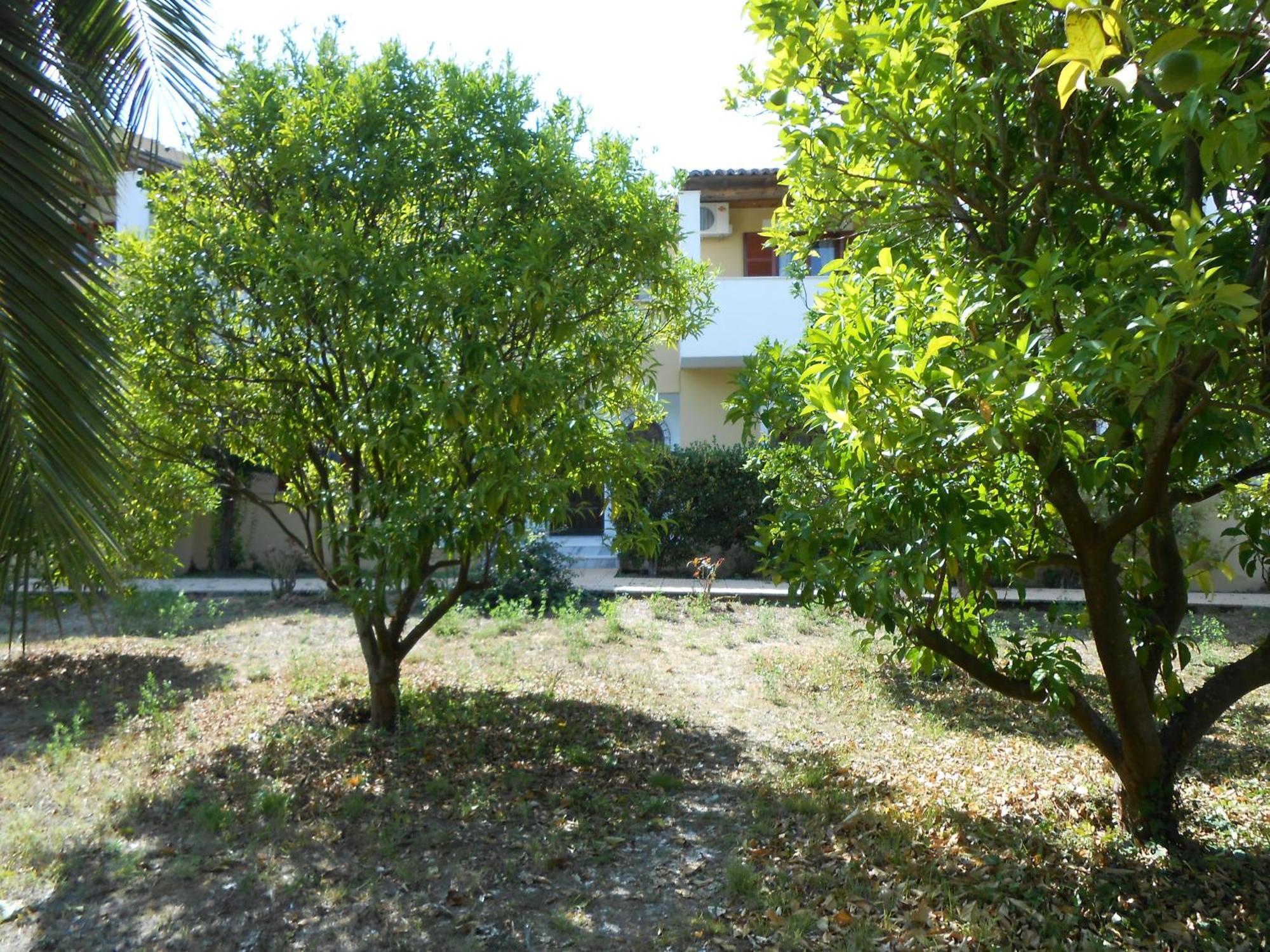 Socrates Studios Acharavi  Buitenkant foto
